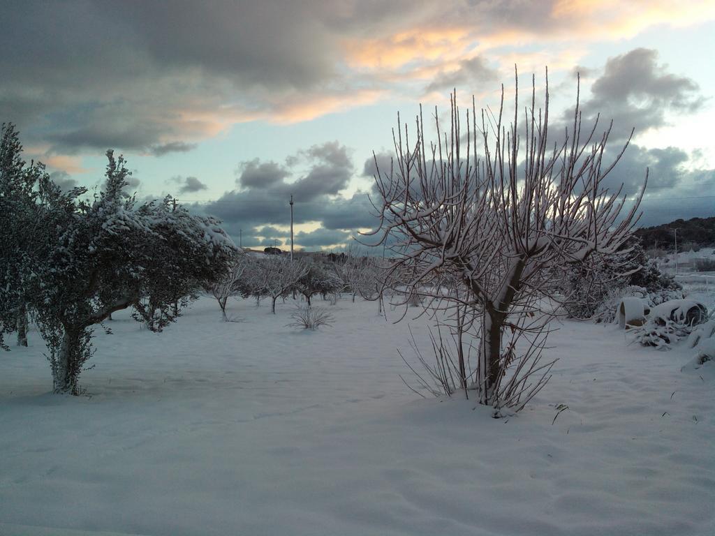 Dimora Antonianna In Valle D'Itria Locorotondo Luaran gambar