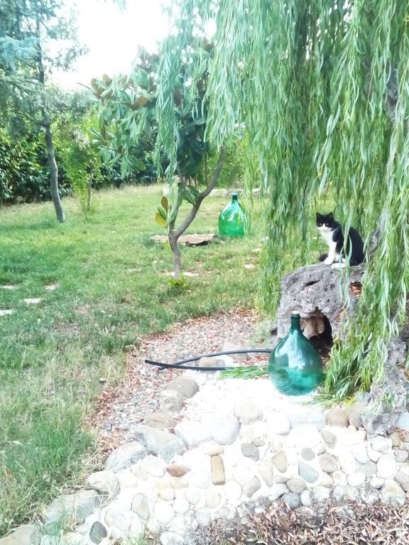 Dimora Antonianna In Valle D'Itria Locorotondo Luaran gambar